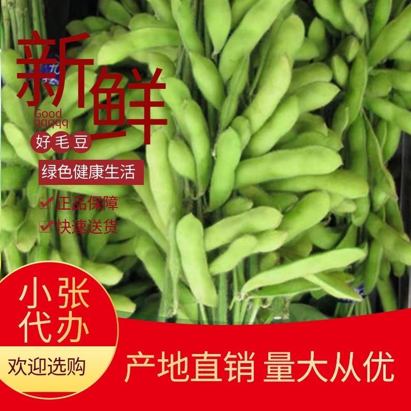 翠绿宝毛豆，大清豆【产地】货量充足】量大从优】
