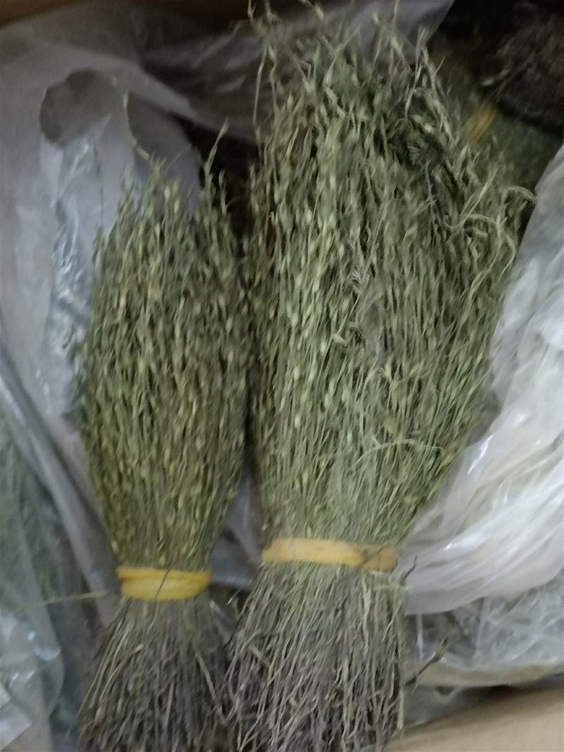 中药材