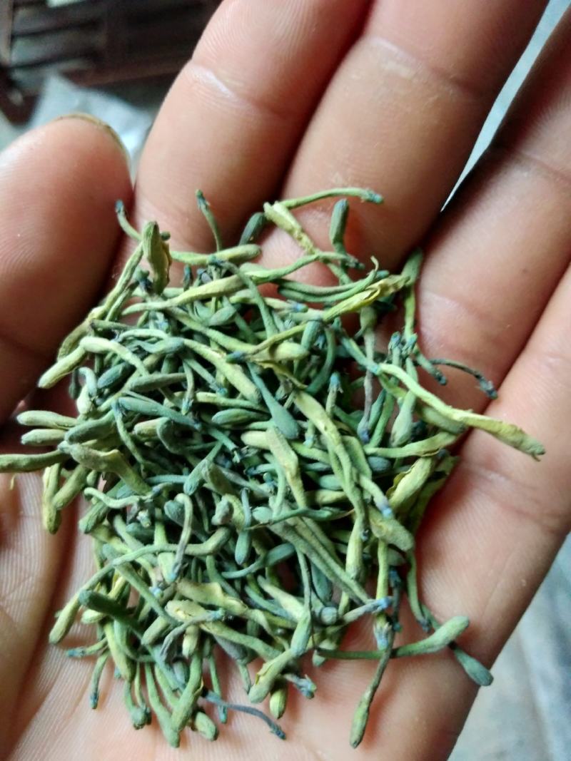 金银花