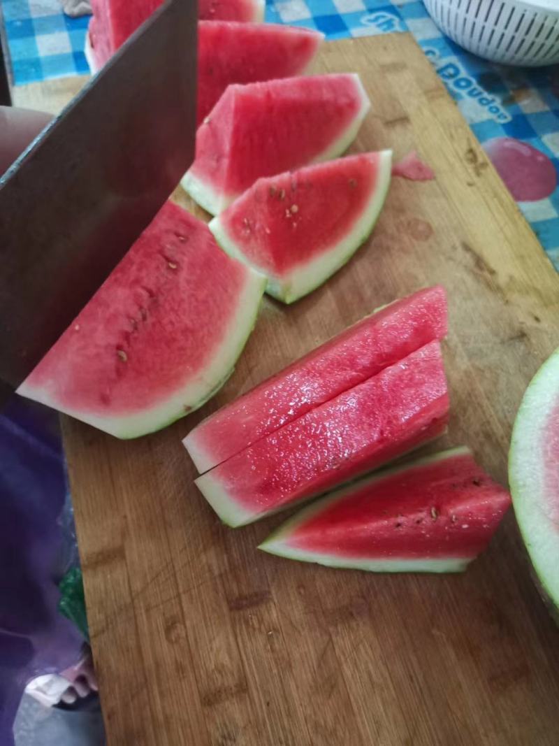 东方巨龙西瓜，瓜皮薄，瓜肉鲜艳爽甜可口，一家种100亩