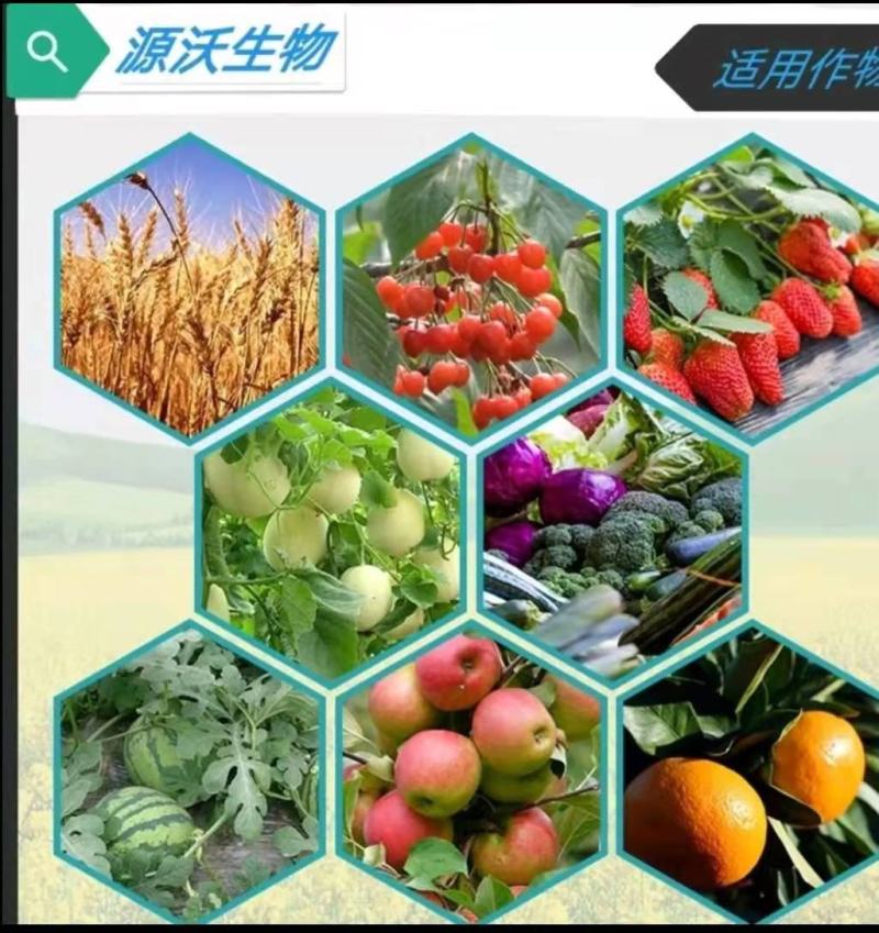 《黄腐酸钾鱼蛋白》包邮，水溶肥价格优惠生根壮苗，厂家