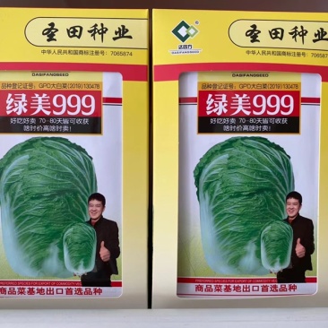 绿美999白菜种子农业部登记品种好吃好卖