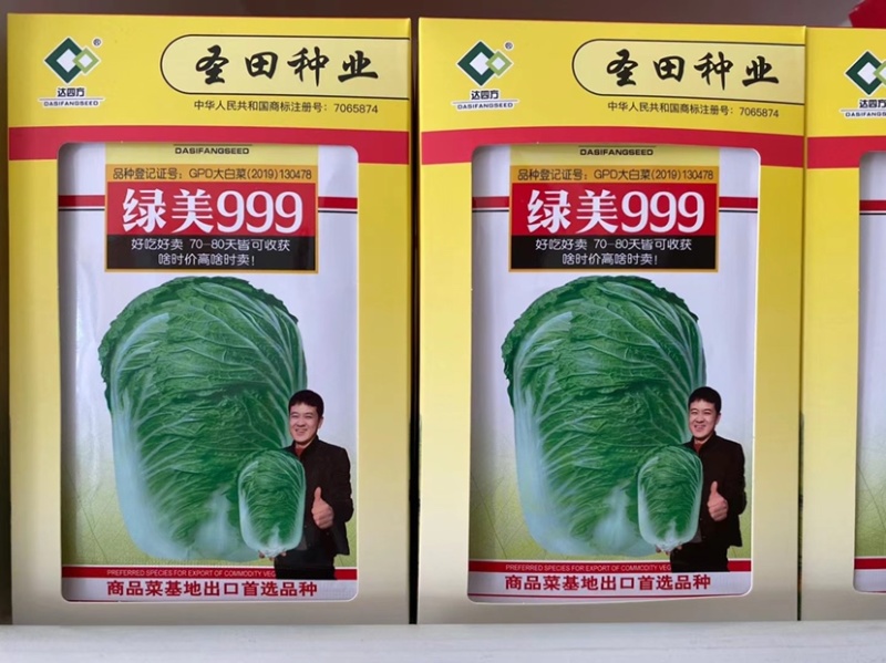 绿美999白菜种子农业部登记品种好吃好卖