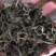冰岛小球普洱散茶生茶