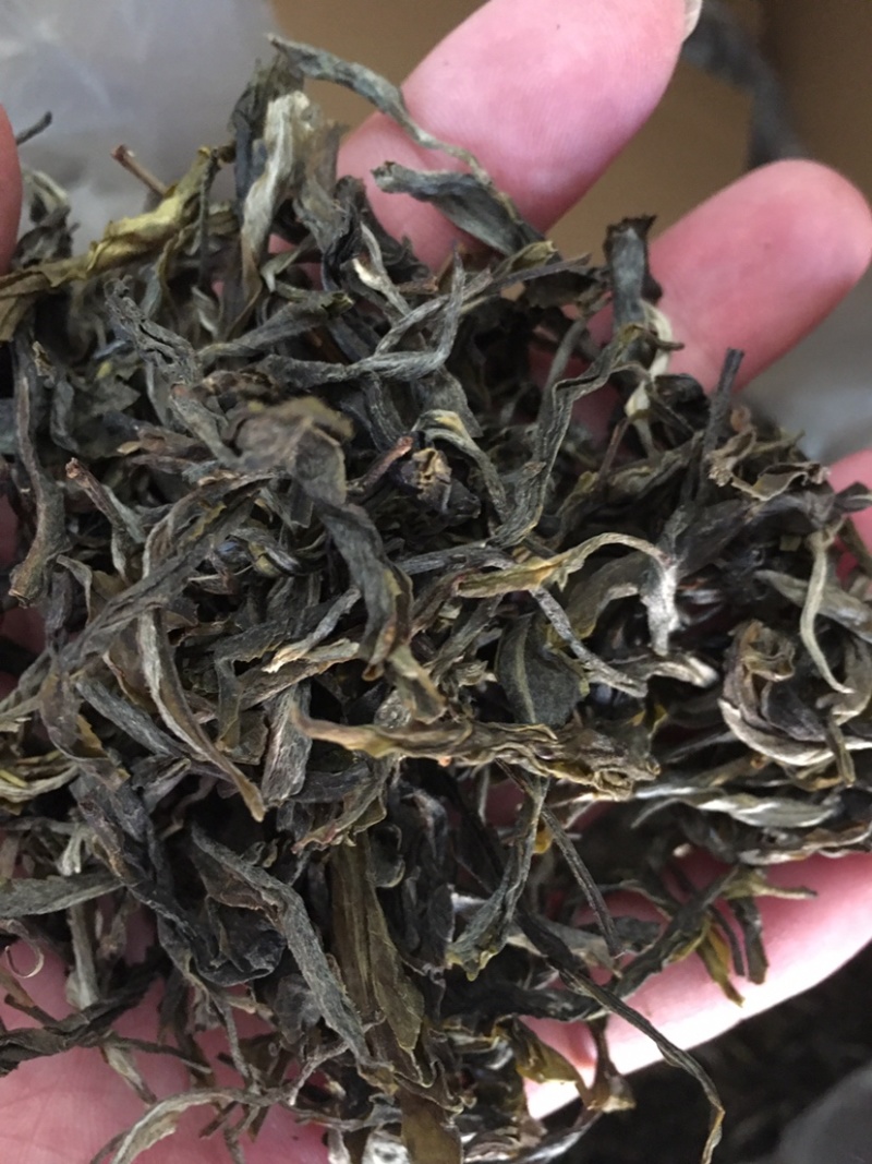 冰岛小球普洱散茶生茶