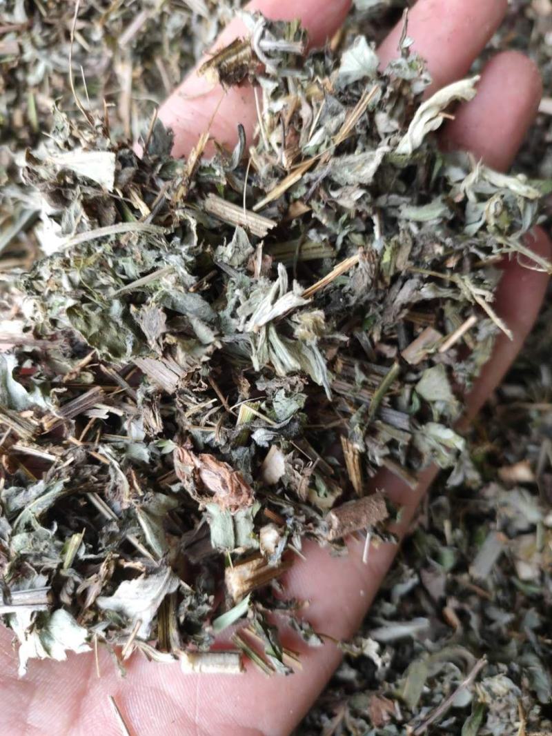 艾叶全课切断足浴包专用刀口保证质量纯前期货