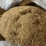 中药材雪灵芝，500克正品包运费，藏族人称人间仙草