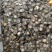 正宗化橘红，化桔红500克包运费，有南方人参之称