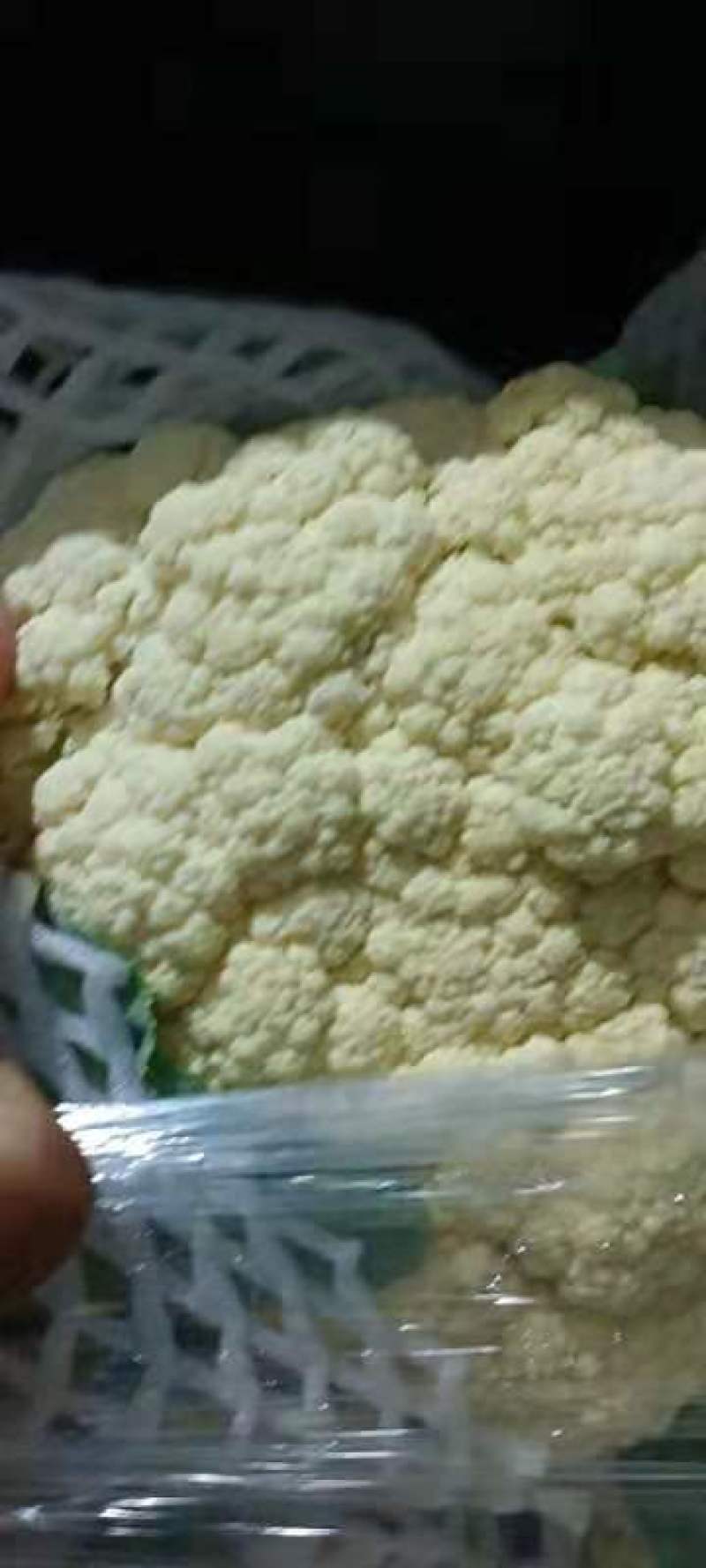 河南开封有机花热卖中，价格美丽。