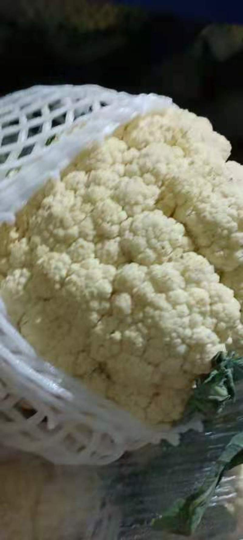 河南开封有机花热卖中，价格美丽。