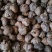 还有马蹄需要速度联系我