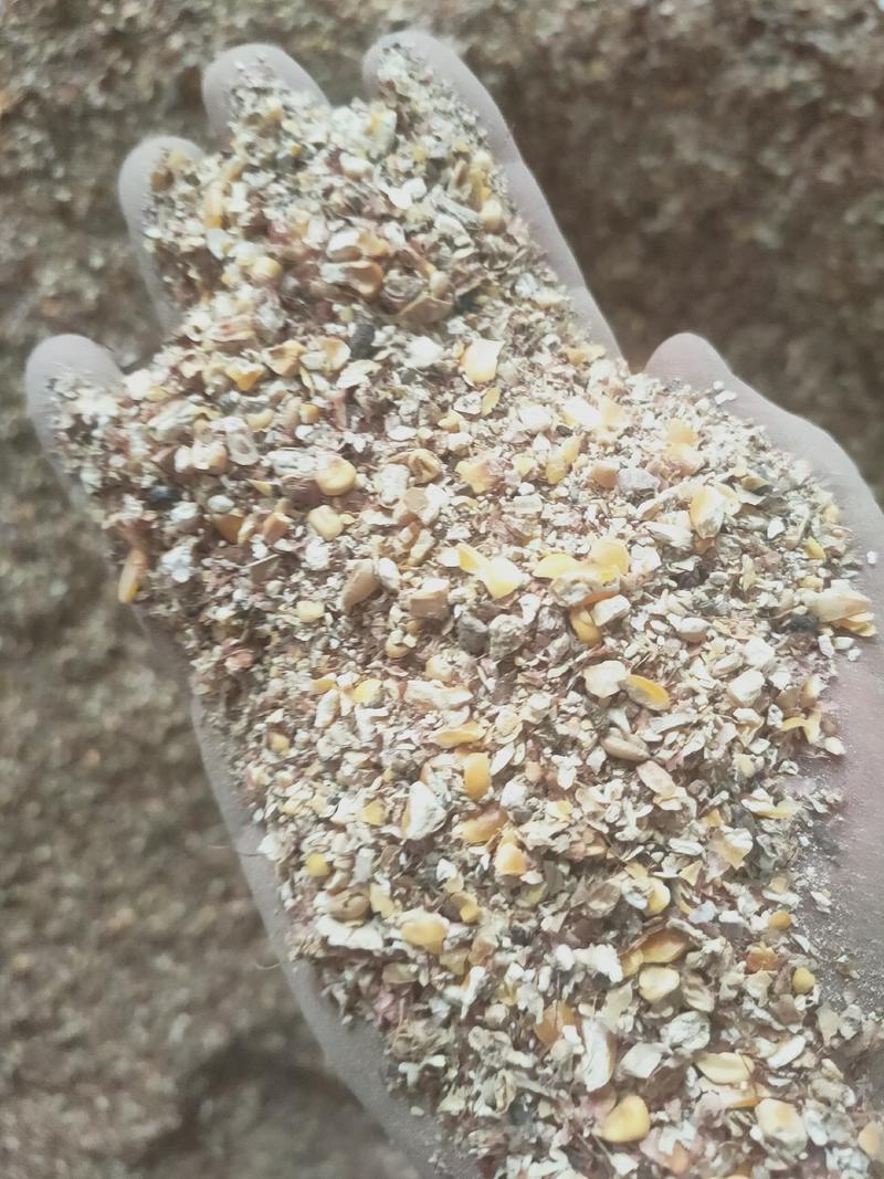 小麦下脚料碎玉米7个多粮碎玉米欢迎到我厂厂采购看货