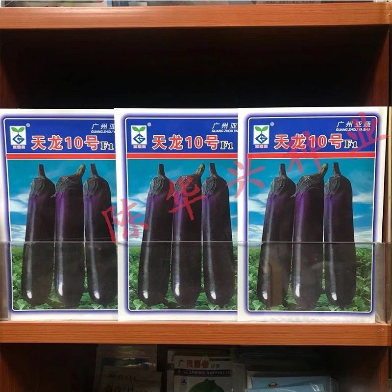 天龙10号茄子种子烧烤茄子种子亚蔬园茄子种子