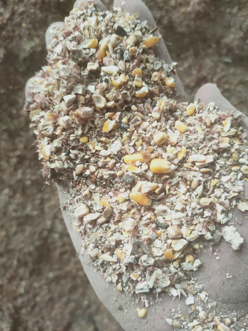 厂应各规格碎玉米小麦漏豆腐渣啤酒糟稻壳