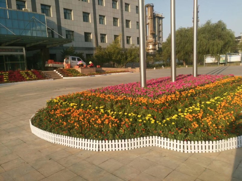 节庆花卉及所