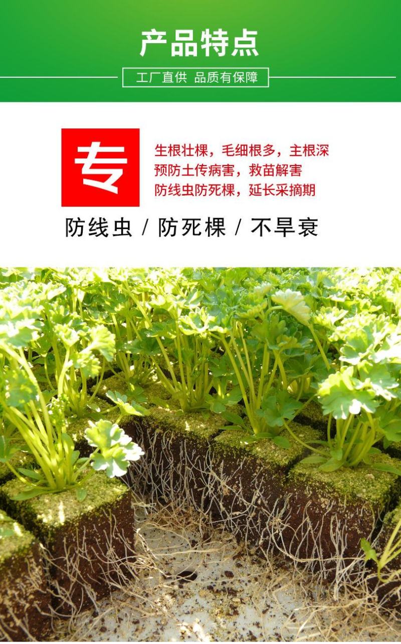 EM微生物菌肥生根粉扦插发根根多多生根剂壮根快速发根壮苗