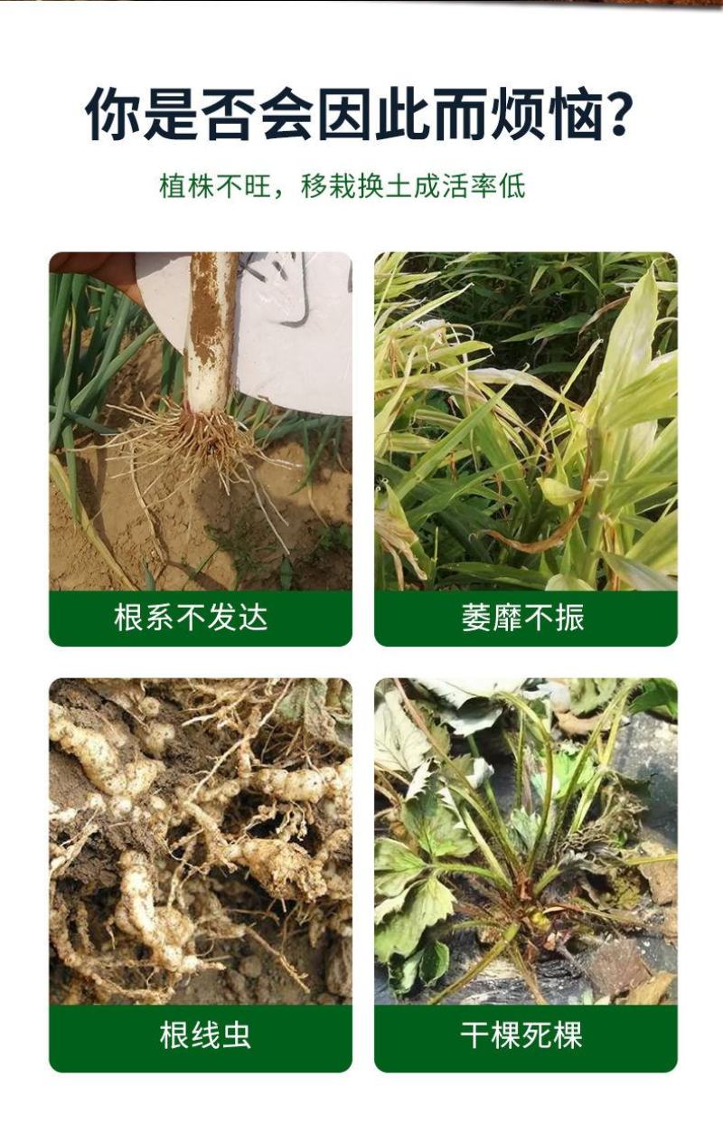 EM微生物菌肥生根粉扦插发根根多多生根剂壮根快速发根壮苗