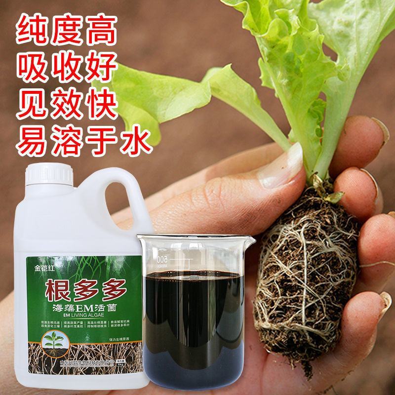 EM微生物菌肥生根粉扦插发根根多多生根剂壮根快速发根壮苗