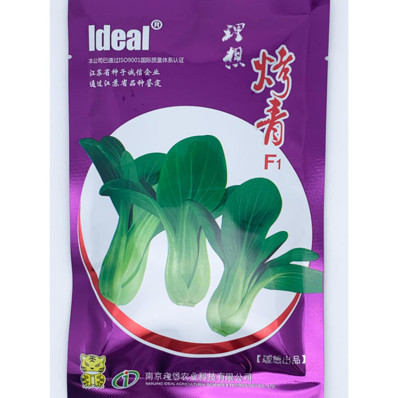 烤青德高耐热耐湿青梗菜青菜种子好吃青菜种子高温不拔节