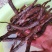 4月20左右开始采挖的开花芍水洗货高含量
