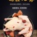 白条鸽