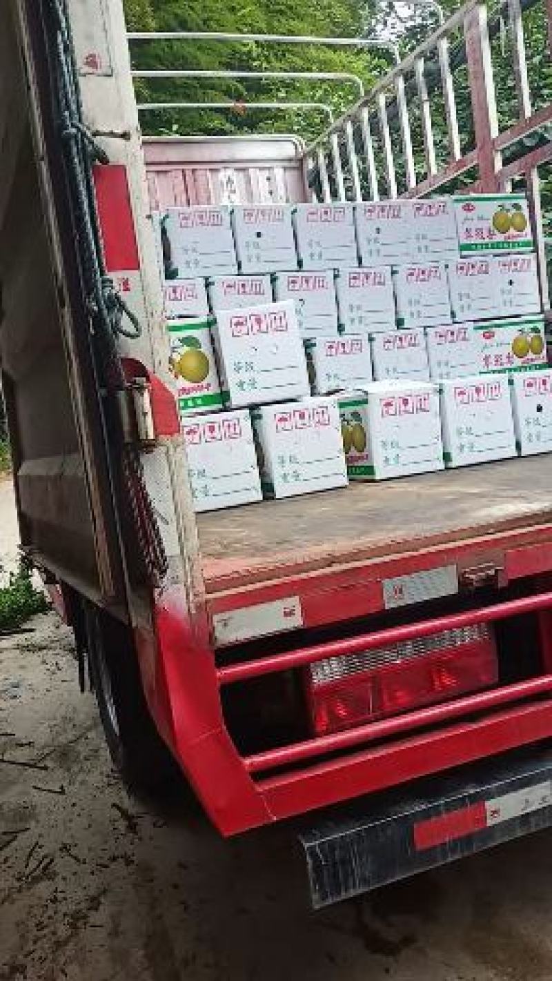 梨