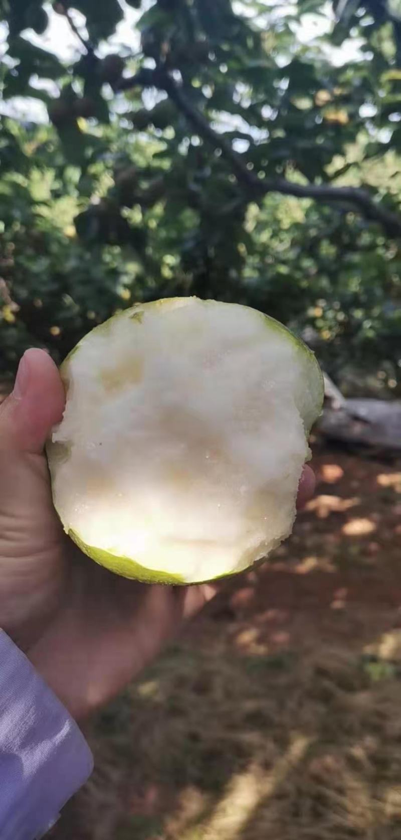 梨