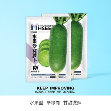 水果沙窝萝卜种子外形美观口感佳翠绿肉脆嫩甘甜耐