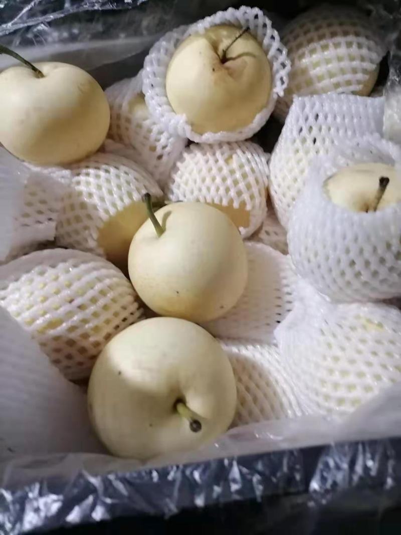 绿宝石梨，开始上市了，产地直供，果面好，口感脆甜，欢迎广