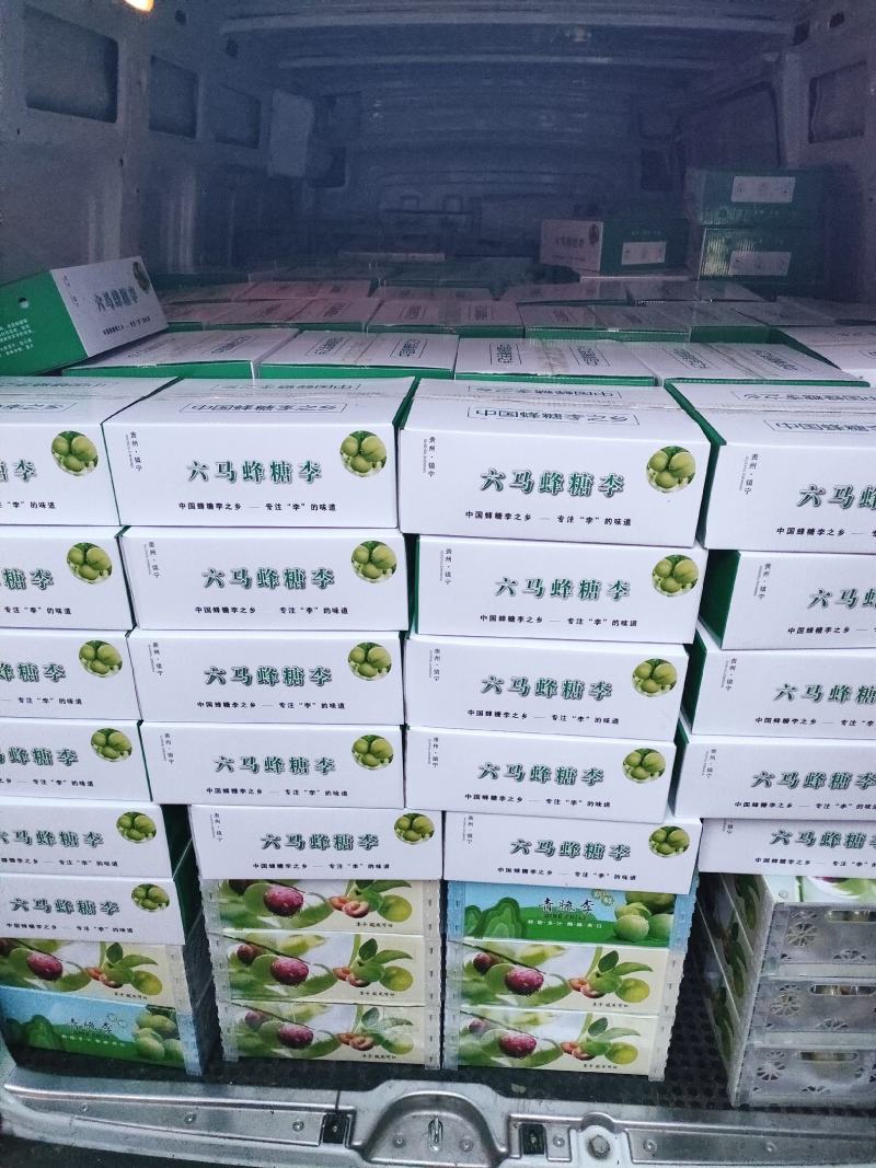 8万蜂糖李低价出手基地直发对接电商平台超市档口支持一代发