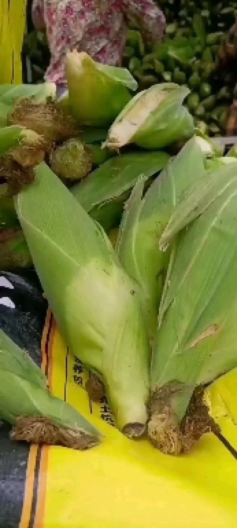 甜玉米