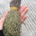 越南独脚金软骨细脚野生独脚金新货味香浓颜色绿15cm