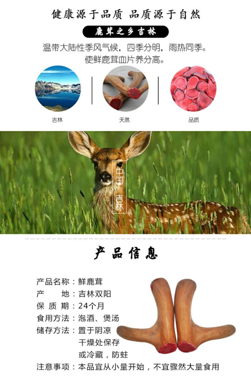 新鲜梅花鹿茸2023头茬新割精品鹿茸整枝一等二杠