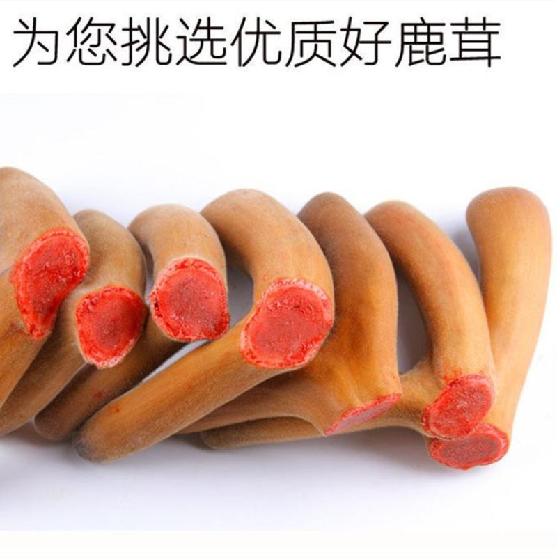 新鲜梅花鹿茸2023头茬新割精品鹿茸整枝一等二杠