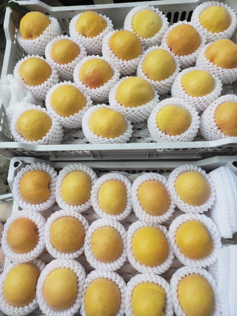 精品桃，黄金蜜桃，突围桃桃黄桃，对接电商供用各大市场