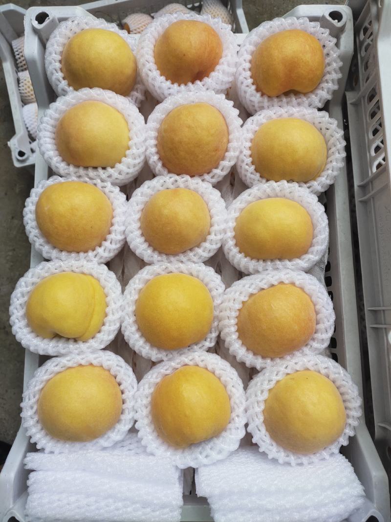 精品桃，黄金蜜桃，突围桃桃黄桃，对接电商供用各大市场