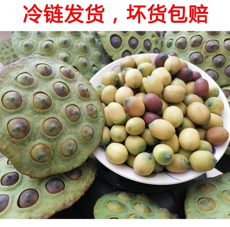 湖南特产新鲜带皮老莲子米带皮嫩莲子米欢迎联系