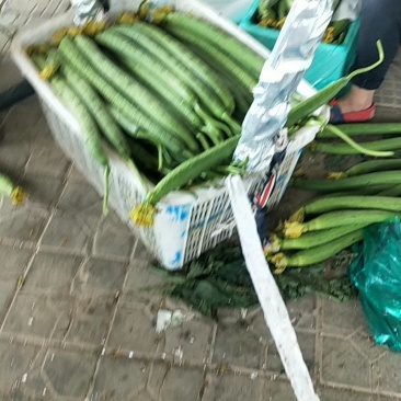鲜花丝瓜