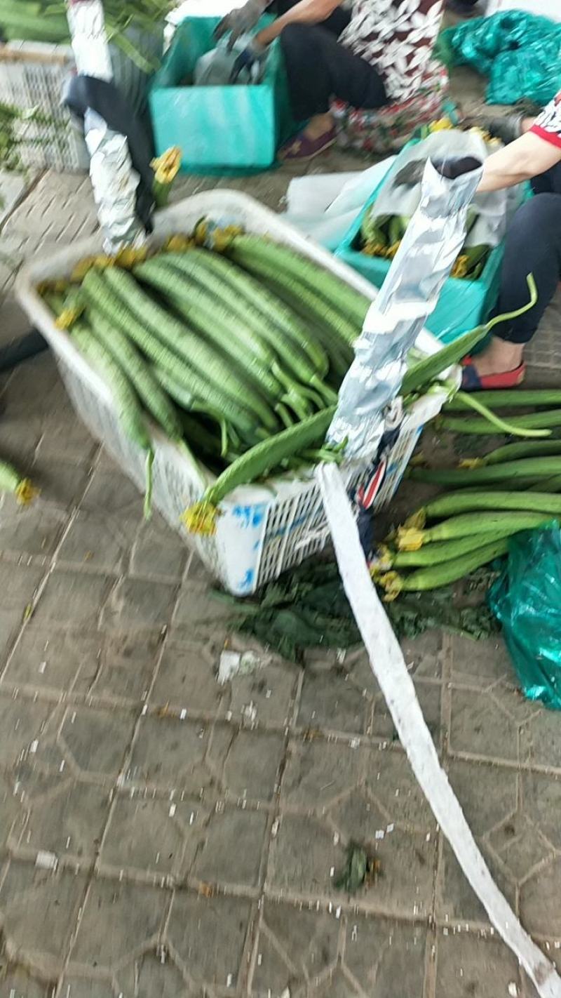 鲜花丝瓜