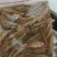 白鱼高山流水高山冷水鱼开肚桃花鱼肉
