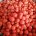 红菇娘果豆（冻），营养丰富，可榨汁，做果浆，蒸冰糖酸浆果