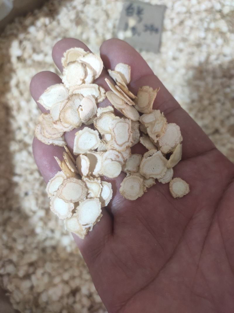 西洋参片各种规格批发零售均可量大从优欢迎选购