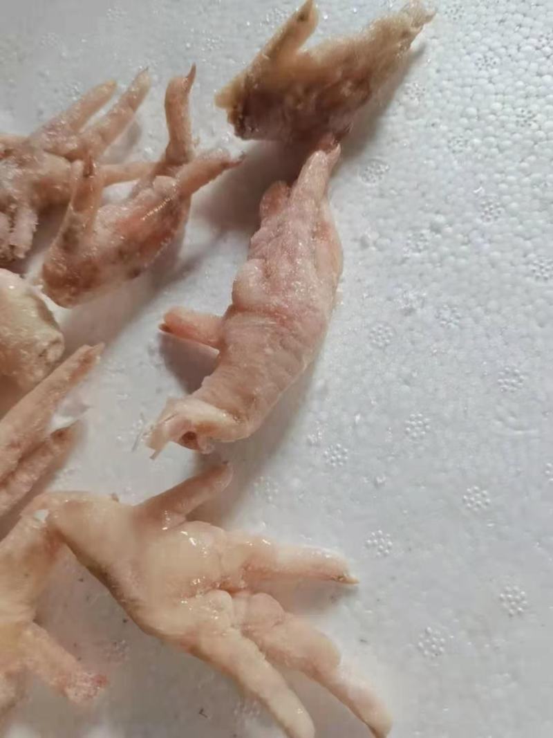 鸡爪，个大肉厚带筋的，质量保证，价格便宜，需要联的联系！