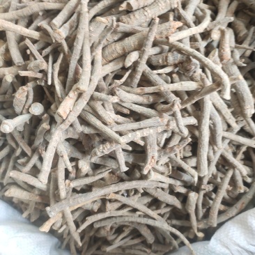 三七腿各种规格三七干净无杂质欢迎选购！