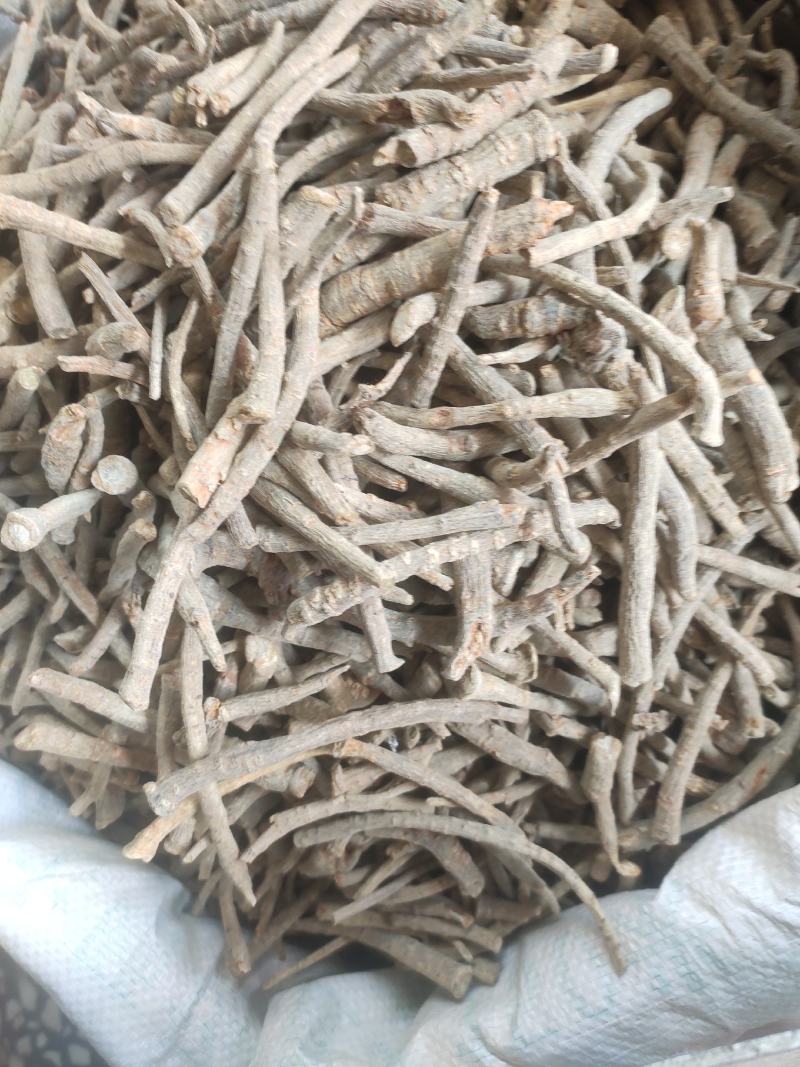三七腿各种规格三七干净无杂质欢迎选购！