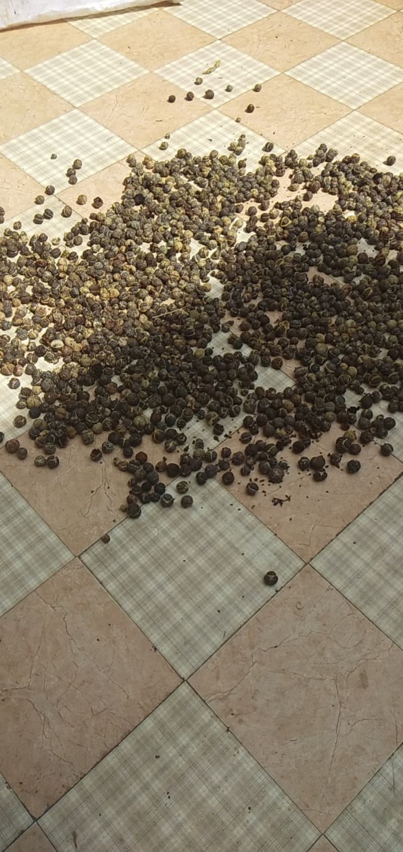 干豆蔻仁