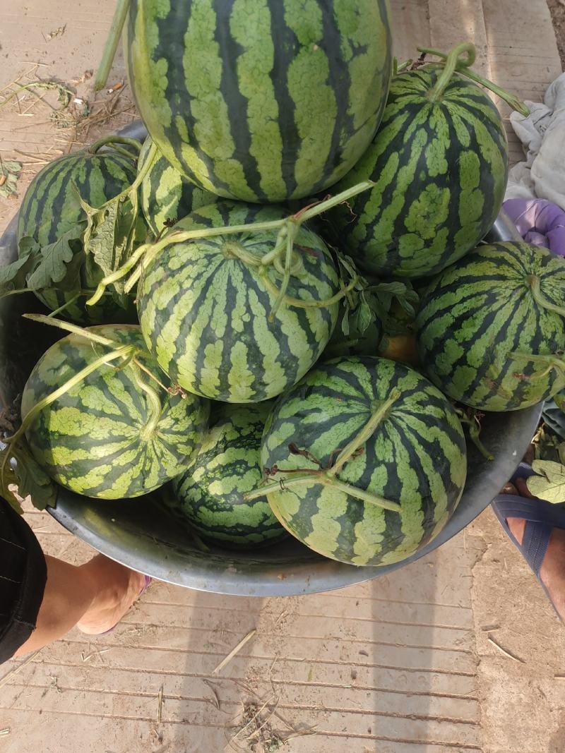 大量供应，8424.美都