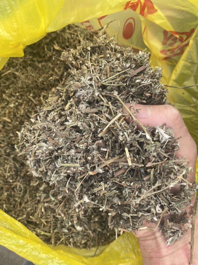 翻白草天然无硫翻白草一手货源