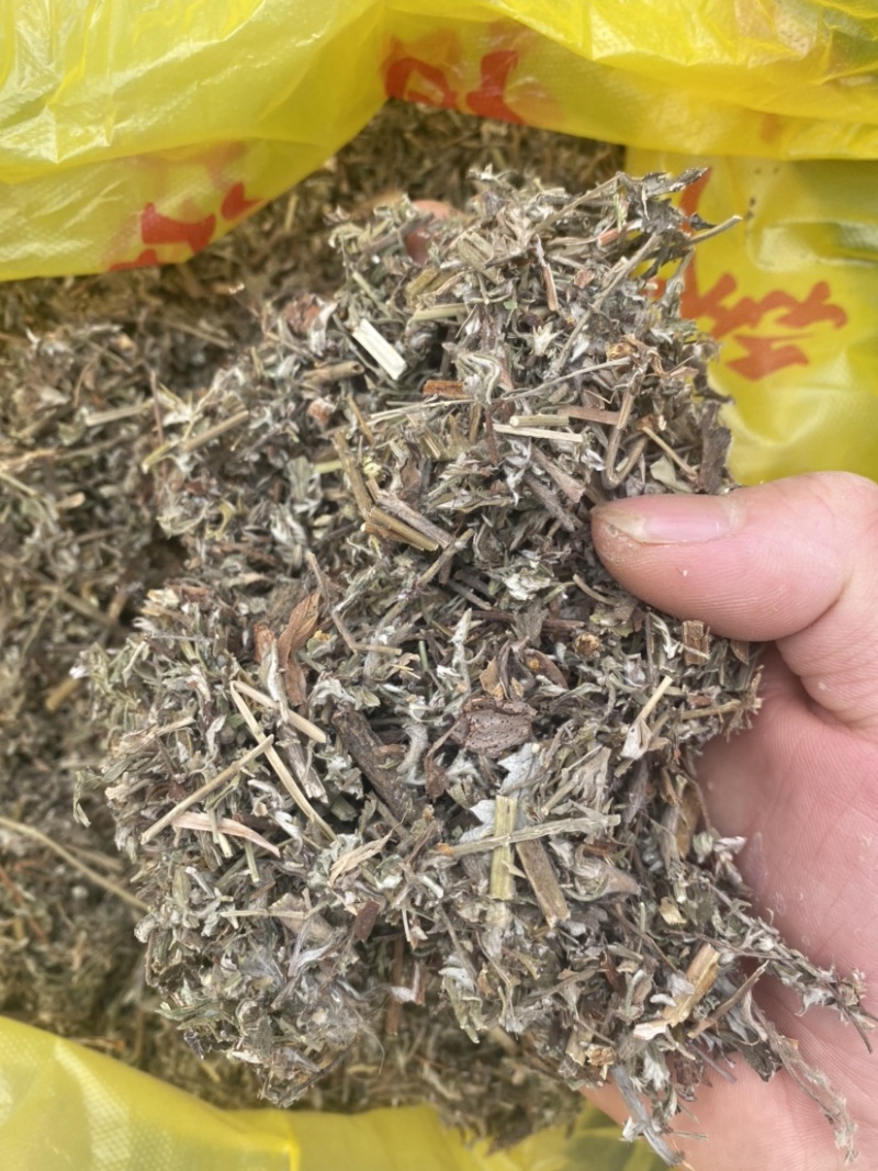 翻白草天然无硫翻白草一手货源