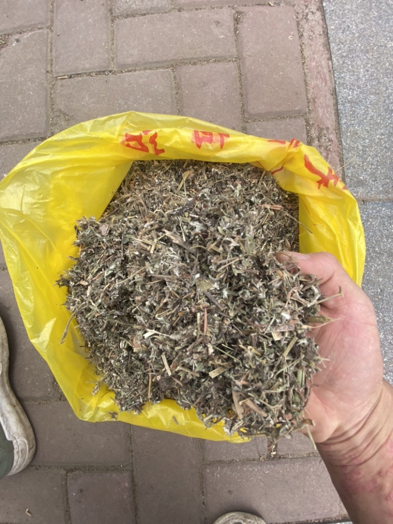 翻白草天然无硫翻白草一手货源